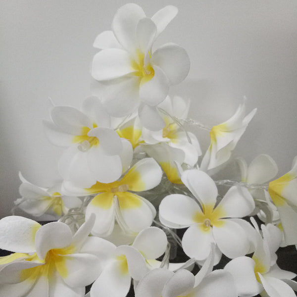 White Frangipani Lights - LED Battery Power fairy lights