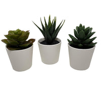 3 Artificial Flower Pot Plants - Summer Succulents in a 6cm White Pot - Gift or home decoration