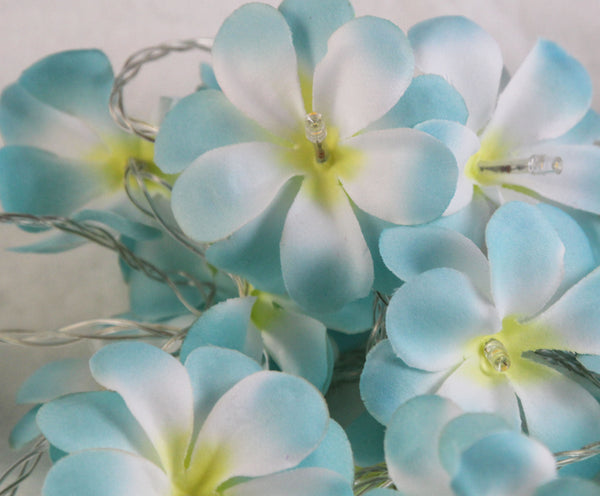 Tropical Blue Frangipani Flower Decorative Party Wedding LED Lights - 10 metre long with 100 bulb/flowers