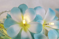 Tropical Blue Frangipani Flower Decorative Party Wedding LED Lights - 10 metre long with 100 bulb/flowers