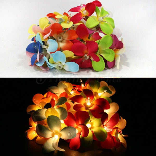 Tropical Mixed Colours Frangipani Flower Decorative Party Wedding LED Lights - 10 metre long with 100 bulb/flowers