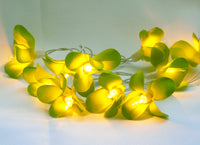Green Yellow Frangipani Flower - LED Battery Power fairy lights
