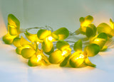 Tropical Green Frangipani Flower Decorative Party Wedding LED Lights - 10 metre long with 100 bulb/flowers