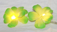 Green Yellow Frangipani Flower - LED Battery Power fairy lights