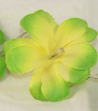 Green Yellow Frangipani Flower - LED Battery Power fairy lights