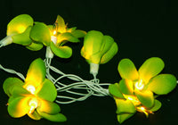 Green Yellow Frangipani Flower - LED Battery Power fairy lights