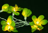 Green Yellow Frangipani Flower - LED Battery Power fairy lights