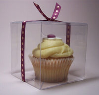 Clear Plastic 10cm Cube LARGE Box - Corporate Attendee Gift Product Box