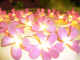 Pink Frangipani Flower Lights - 20 bulbs to a string