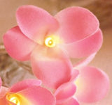Pink Frangipani LED fairy lights - 35 bulbs with 8 flash settings
