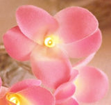 Pink  Frangipani Style - Battery Power fairy lights
