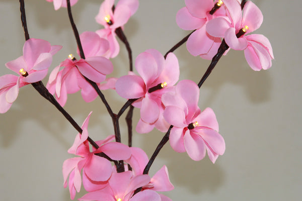 Pink Frangipani flower bunch on stems sticks - 50 cm high battery powered table centrepiece fairy lights