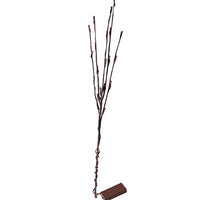 LED lights on branch stems - battery powered table centrepiece fairy lights - Medium