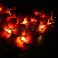 Red Frangipani Flower Decorative Party Wedding LED Lights - 10 metre long with 100 bulb/flowers
