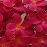 Red Frangipani Flower Artificial - Battery Power - fairy lights - table party room decoration