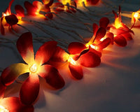 Red Frangipani Flower Decorative Party Wedding LED Lights - 10 metre long with 100 bulb/flowers