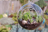 12cm Hanging Clear Glass Candle Holder- Ball - Outdoor or Indoor Event Decoration