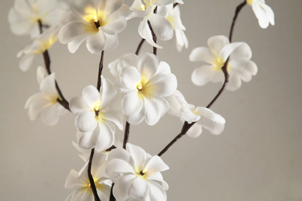 White Frangipani flower bunch on stems sticks - 50 cm high battery powered table centrepiece fairy lights