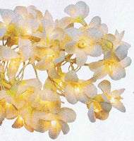 White FrangiPani Flower Decorative Party Wedding LED Lights - 10 metre long with 100 bulb/flowers