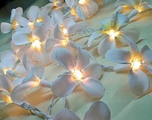 White FrangiPani Flower Decorative Party Wedding LED Lights - 10 metre long with 100 bulb/flowers