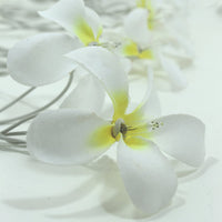White Frangipani Lights - LED Battery Power fairy lights