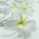 White Frangipani Lights - LED Battery Power fairy lights