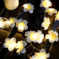 White Frangipani Lights - LED Battery Power fairy lights