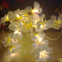 White Frangipani Lights - LED Battery Power fairy lights