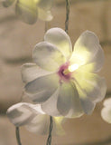 Purple & White Frangipani Flower - Battery Power fairy lights gift or table decoration