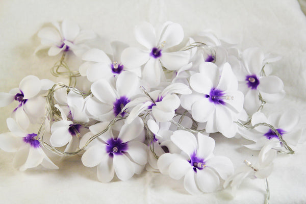 Purple & White Frangipani Flower - Battery Power fairy lights gift or table decoration