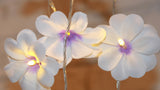 Purple & White Frangipani Flower - Battery Power fairy lights gift or table decoration