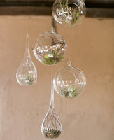 12cm Hanging Clear Glass Candle Holder- Ball - Outdoor or Indoor Event Decoration