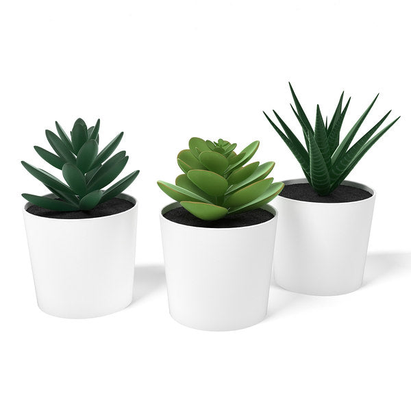 3 Artificial Flower Pot Plants - Summer Succulents in a 6cm White Pot - Gift or home decoration