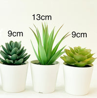3 Artificial Flower Pot Plants - Summer Succulents in a 6cm White Pot - Gift or home decoration