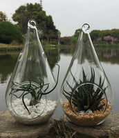 12cm Tear Drop Hanging Glass Tealight Candle Holder- Outdoor or Indoor - Event Decoration