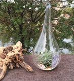 12cm Tear Drop Hanging Glass Tealight Candle Holder- Outdoor or Indoor - Event Decoration